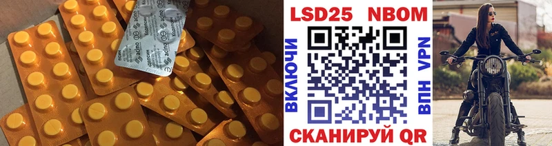 LSD-25 экстази ecstasy  Купить закладки  Новотитаровская 