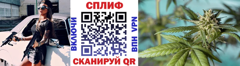 Купить закладки  Новотитаровская  Каннабис THC 21% 